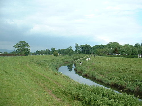 River Wyre